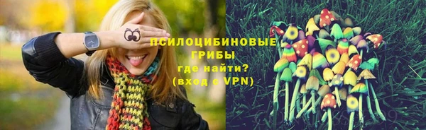 прущая мука Арсеньев
