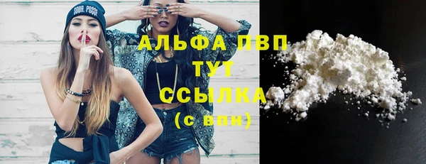 индика Балабаново