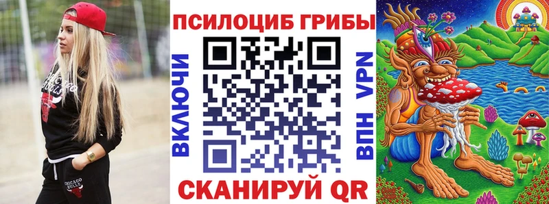 Купить закладки  Сысерть  Галлюциногенные грибы Psilocybine cubensis 